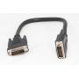 DIGITAL 800 DVID to DVID DVI CABLE 1FT Male to Male