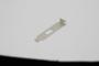 CASE SLOT DB9 Low-Profile 1U Small Cover Bracket