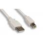 USB CABLE TYPE A to TYPE B CABLE 3FT 2.0 Compliant