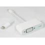 IPHONE Lightning to VGA Adapter